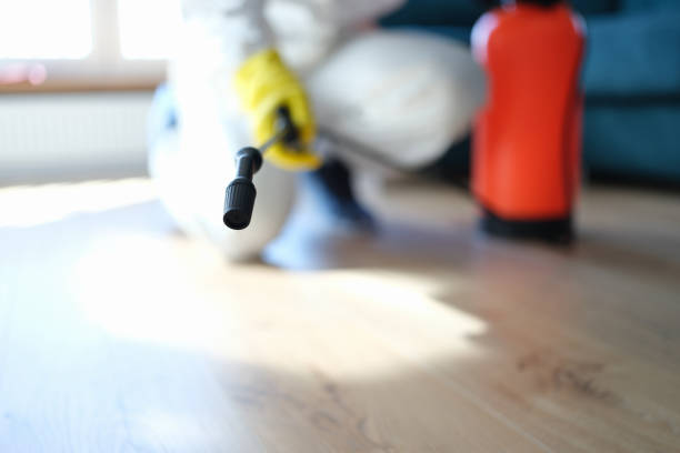 Enlow, PA Mold Removal Company