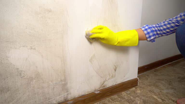 Asbestos and Lead Testing During Mold Inspection in Enlow, PA