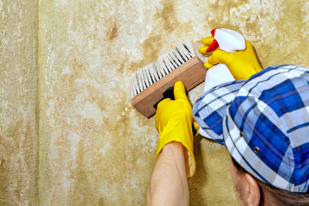 Dehumidification Services in Enlow, PA